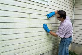 Affordable Siding Repair and Maintenance Services in Marana, AZ